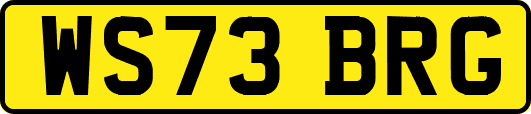 WS73BRG