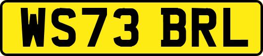 WS73BRL