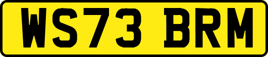 WS73BRM