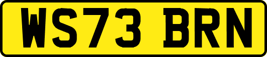 WS73BRN