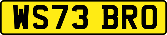WS73BRO