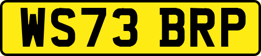 WS73BRP
