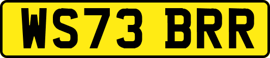 WS73BRR