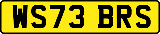 WS73BRS