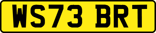 WS73BRT