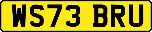 WS73BRU
