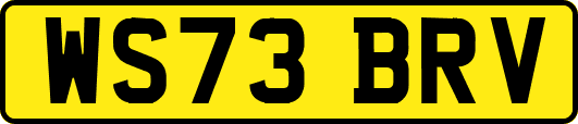 WS73BRV
