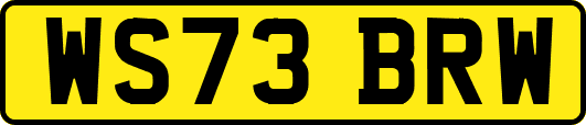 WS73BRW
