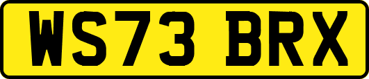 WS73BRX