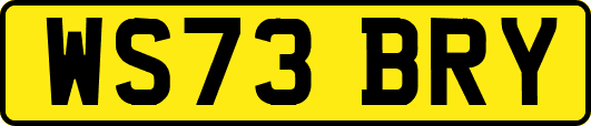 WS73BRY