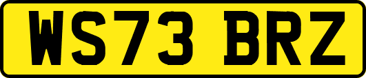 WS73BRZ