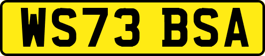 WS73BSA
