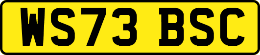 WS73BSC