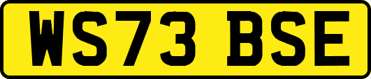 WS73BSE
