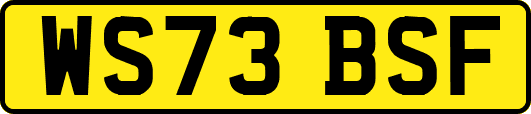 WS73BSF