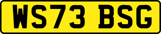 WS73BSG