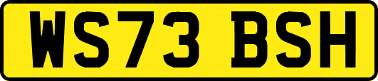 WS73BSH