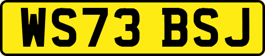 WS73BSJ