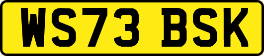 WS73BSK