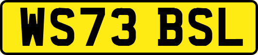 WS73BSL