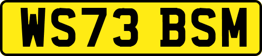 WS73BSM