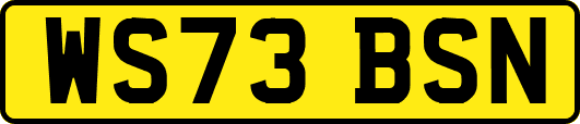 WS73BSN