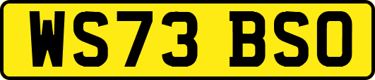 WS73BSO