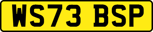 WS73BSP