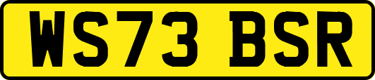 WS73BSR