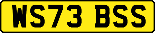WS73BSS