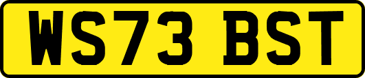 WS73BST