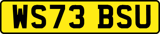 WS73BSU