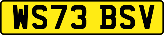 WS73BSV