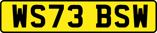 WS73BSW