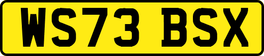 WS73BSX