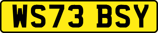 WS73BSY