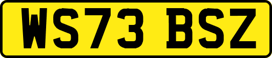 WS73BSZ