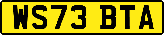 WS73BTA