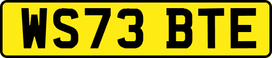 WS73BTE
