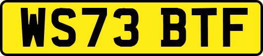 WS73BTF