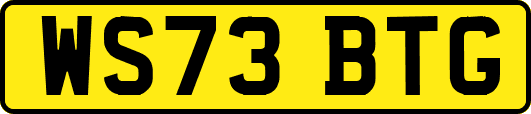 WS73BTG