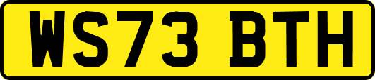 WS73BTH