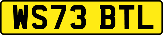 WS73BTL