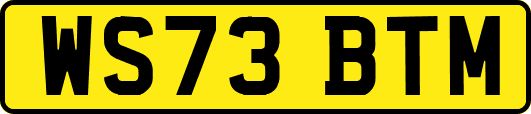 WS73BTM