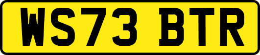 WS73BTR
