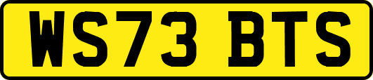 WS73BTS