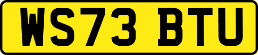 WS73BTU