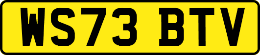 WS73BTV
