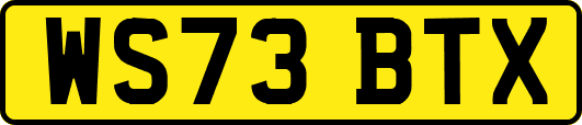 WS73BTX