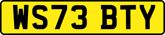 WS73BTY